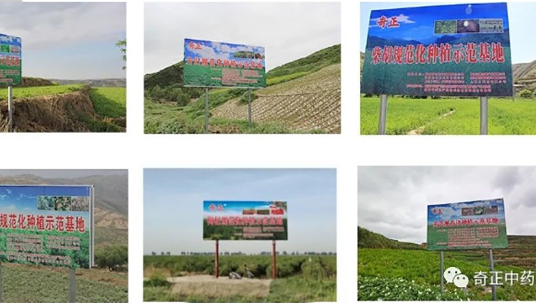 陇西开云足球（中国）药材有限责任公司入选第一批国家中药材标准化与质量评估创新联盟GAP重点培育单位