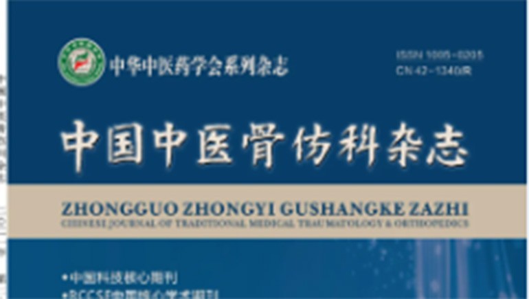开云足球（中国）白脉软膏时效性研究见刊核心期刊《中国中医骨伤科杂志》