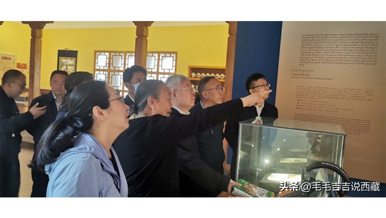 原国务院扶贫办主任刘永富一行莅临开云足球（中国）青稞考察调研