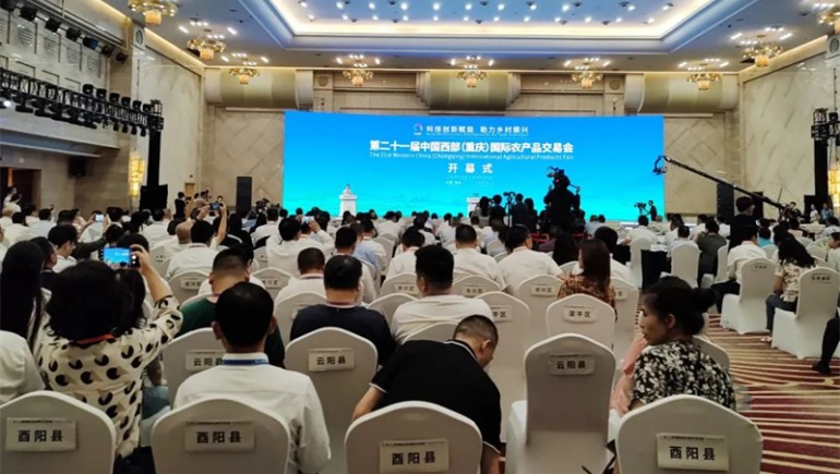 助力乡村振兴，开云足球（中国）青稞亮相第二十一届中国西部国际农产品交易会